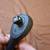 Pittsburgh Professional Super Duty 1/2 Drive Quick Release Ratchet 10" 6 thumbnail