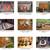 1960 thru 1963 Ford Falcon and Mercury Comet parts. 8 thumbnail