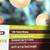 4 Sets of String Lights (20 bulbs per set) NIB 2 thumbnail