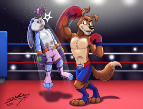 boxing /Sparring partner (Philadelphia)64047263321985120
