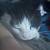 2 male tuxedo cats 6 thumbnail