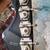 Silvertone Daneletro 1443 Bass 6 thumbnail