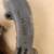1961 1962 exhaust manifolds left& right 5 thumbnail