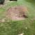 JOHNSON STUMP GRINDING LLC 3 thumbnail