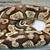 Proven Adult Ball Python Morphs for Sale 6 thumbnail
