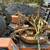 John Deere 770 loader auger 3pt mower 4 thumbnail