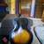 Music gear!!!! 5 thumbnail