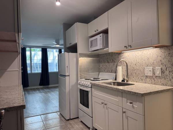 $1,650 / 300ft2 - Studio/w Bath/No Parking - Recently Renovated,Close to UH-Manoa by Bus (Waikiki)63939392490243120