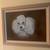 Poodle Original Painted Portrait on Canvas Art 1 thumbnail