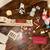 Calico Critters HUGE Collection Clean! Like new! 5 thumbnail