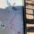 (4) Mid Century / Retro Artex TV trays with stand A192 8 thumbnail