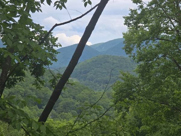 $29,000 5+ acres of Mountain Property in Fairview (Fairview)64029373055745120