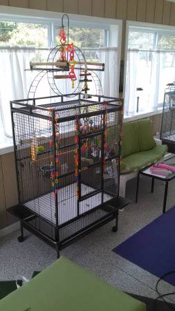 Bird Cage 1