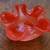 Bowl Glass Italian Red Murano Glass1950s 5 thumbnail