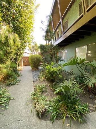 $1,750 / 1br - 650ft2 - 1 BDRM ASIAN GARDEN APARTMENT IN QUIET CENTRAL LOCATION 1621-12 (berkeley)63695839786881121