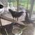 Easter egger and barred rock chicks 2 thumbnail