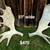 Moose shed antler deer skull bull rack european mount taxidermy 18 thumbnail