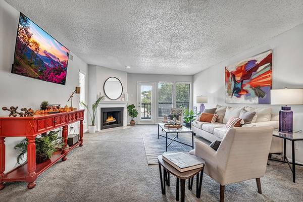 Large Closets, Carpeted Floors, Walk-in Closets 1