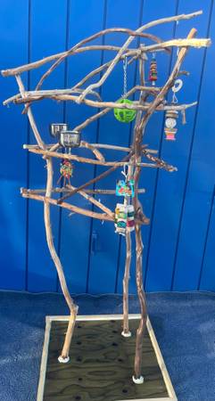Small bird perch trees - custom made and look great ! Lots of birdee socializati 1