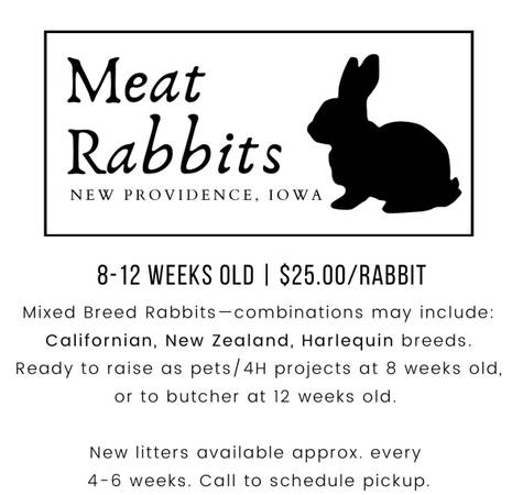 Mixed Breed New Zealand/Californian/Harlequin Meat Rabbits - New Providence, IA 1