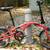 DAHON Curl i8 aluminum folding bike 35 year anniversary edition 9 thumbnail