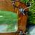 20 pctoff! tiger oak-hand bevelled glass-original Victorian coat hooks 3 thumbnail