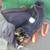 Small Dog Carrier Bag Tote with Shoulder Straps 7 thumbnail