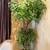 Large Artificial Tree in Decorative Pot – Excellent Condition 2 thumbnail
