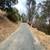 Martinez Lot over 6000 SF + free adjacent free  lot . 6 thumbnail