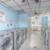 Refrigerator, Clubhouse, Carpeting 7 thumbnail