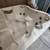 8800. Jacuzzi 110..220 spa for 4 4 thumbnail