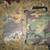 Lot of Hunting seat cushions and tarp ? 6 thumbnail