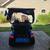 Ingersoll Rand Golf Cart 6 thumbnail