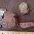 5 Pieces of Petrified Wood & 1 piece Malachite 8 thumbnail