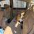 2005 VW Passat TDI - Needs Radiator 6 thumbnail