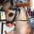 Wonder Horse 1950's Rocking Horse 10 thumbnail