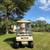 CLUB CAR electric 8 thumbnail