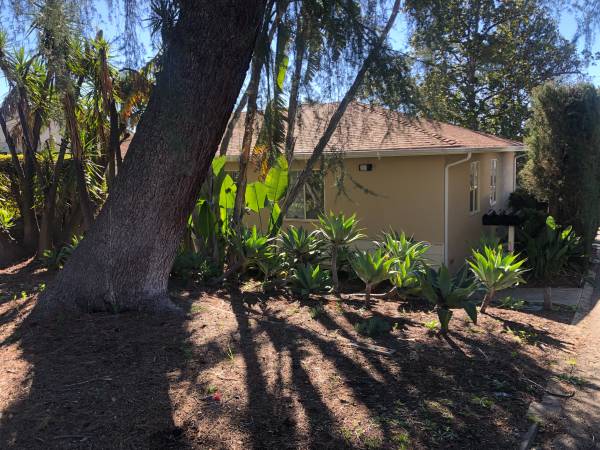 Mid-century traditional apartment 1