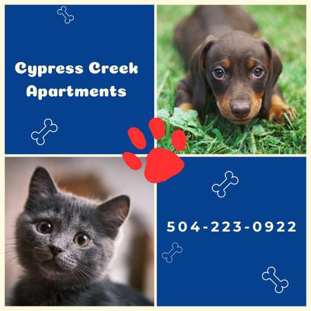 $1,220 / 1br - 785ft2 - ✨👀Looking for a 1bd?Look no further!Your new home's🏠available NOW!! (Cypress Creek Apartments)63903771497986120