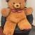 Super Big & Cute Plush Bear 1 thumbnail