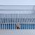 CONTAINER STORE Display Storage Box Latched Lid Clear Metal Wire Frame 5 thumbnail