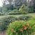 Log Home Rental 2 thumbnail