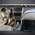 2012 Subaru Forester X 14 thumbnail