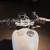 2025 Triumph Speed Twin 1200 6 thumbnail