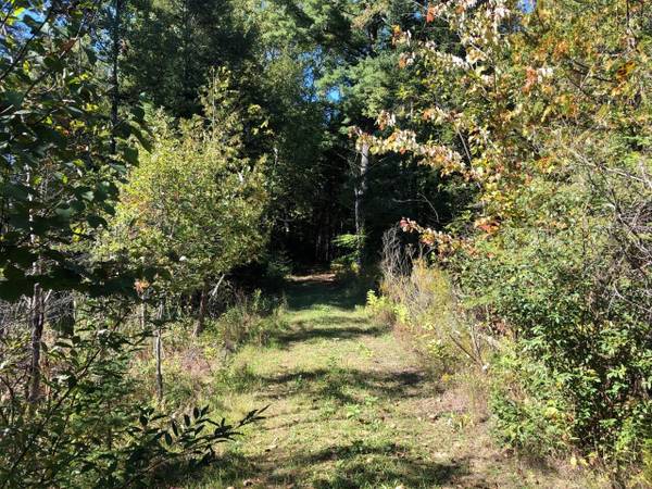 $199,000 / 770140ft2 - 17.68 Acres of Vacant Land on the Crooked River (Alanson)64037723327361122
