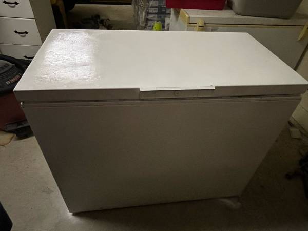 Chest Freezer 1