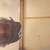 Antique cabinets 1 thumbnail
