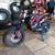 Electric thunder 115 2000w $1,695 electric mini pit bike 2 thumbnail