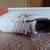 New Balance Men’s 519 Shoes White MX519WG, Size 9.5 4E 2 thumbnail