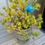 Large jade plant in ceramic pot 1 thumbnail
